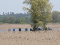2016-05-14 12h52m08 - In de verte - Jan van Kleef